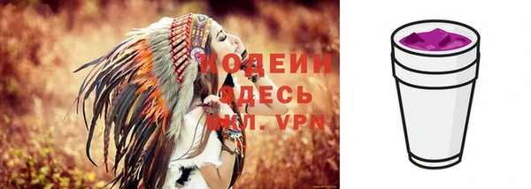 стаф Касимов