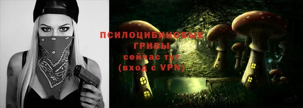 ALPHA PVP Алексин