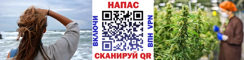 Каннабис VHQ  как найти наркотики  Пролетарск 